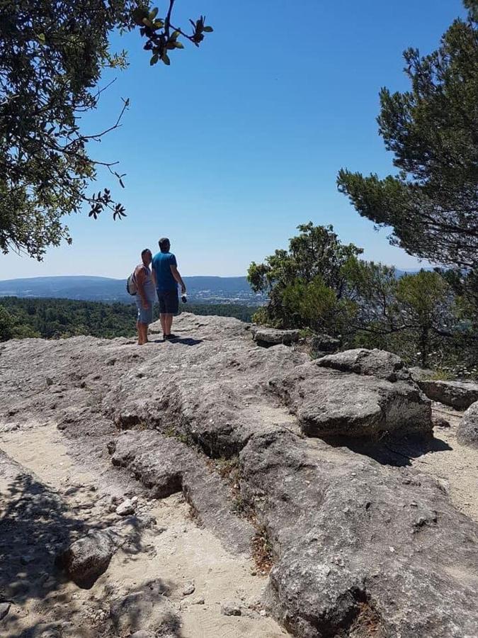 Chambre D'Hotes Vaucluse Bollène Εξωτερικό φωτογραφία