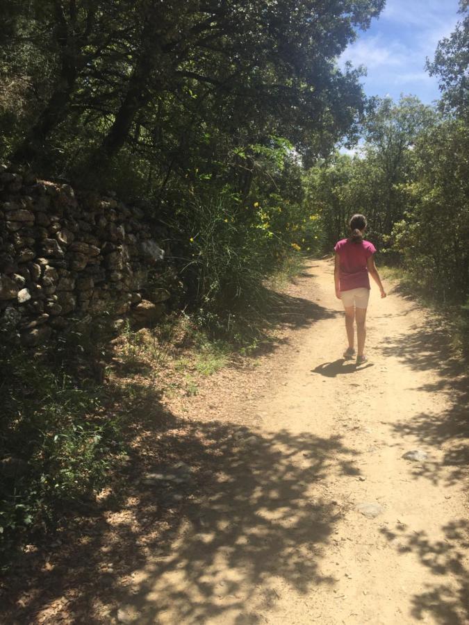 Chambre D'Hotes Vaucluse Bollène Εξωτερικό φωτογραφία