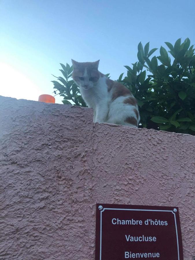 Chambre D'Hotes Vaucluse Bollène Εξωτερικό φωτογραφία