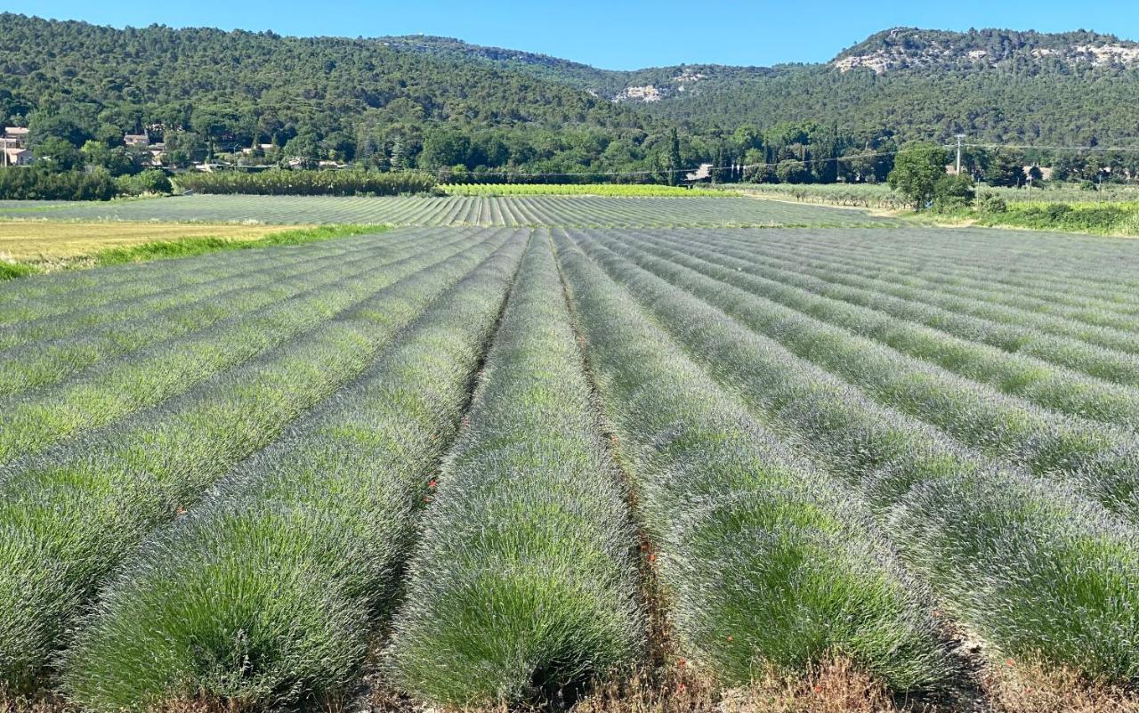 Chambre D'Hotes Vaucluse Bollène Εξωτερικό φωτογραφία