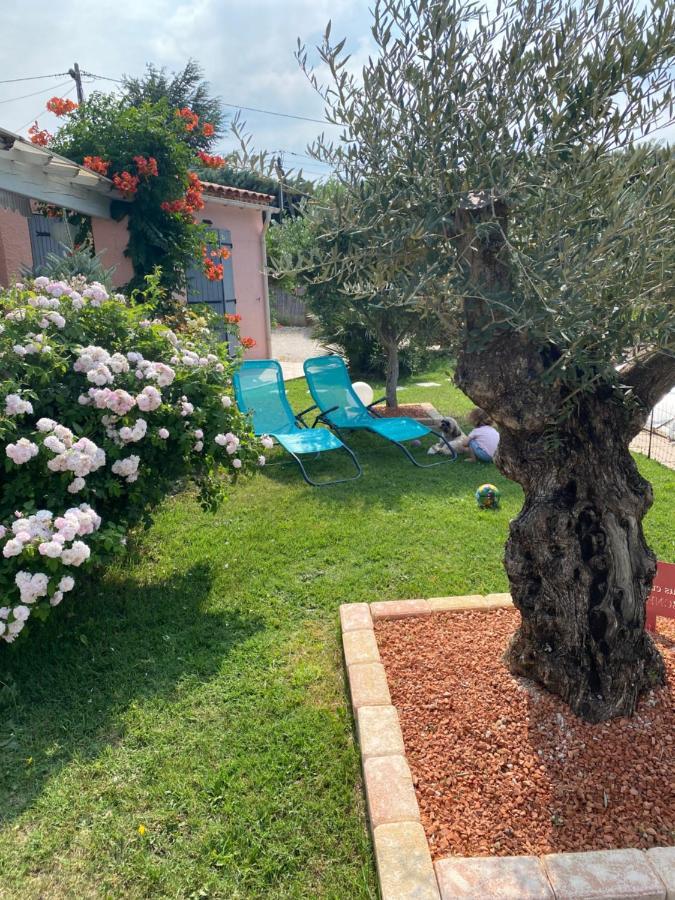 Chambre D'Hotes Vaucluse Bollène Εξωτερικό φωτογραφία