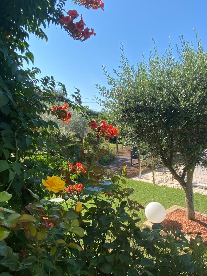 Chambre D'Hotes Vaucluse Bollène Εξωτερικό φωτογραφία