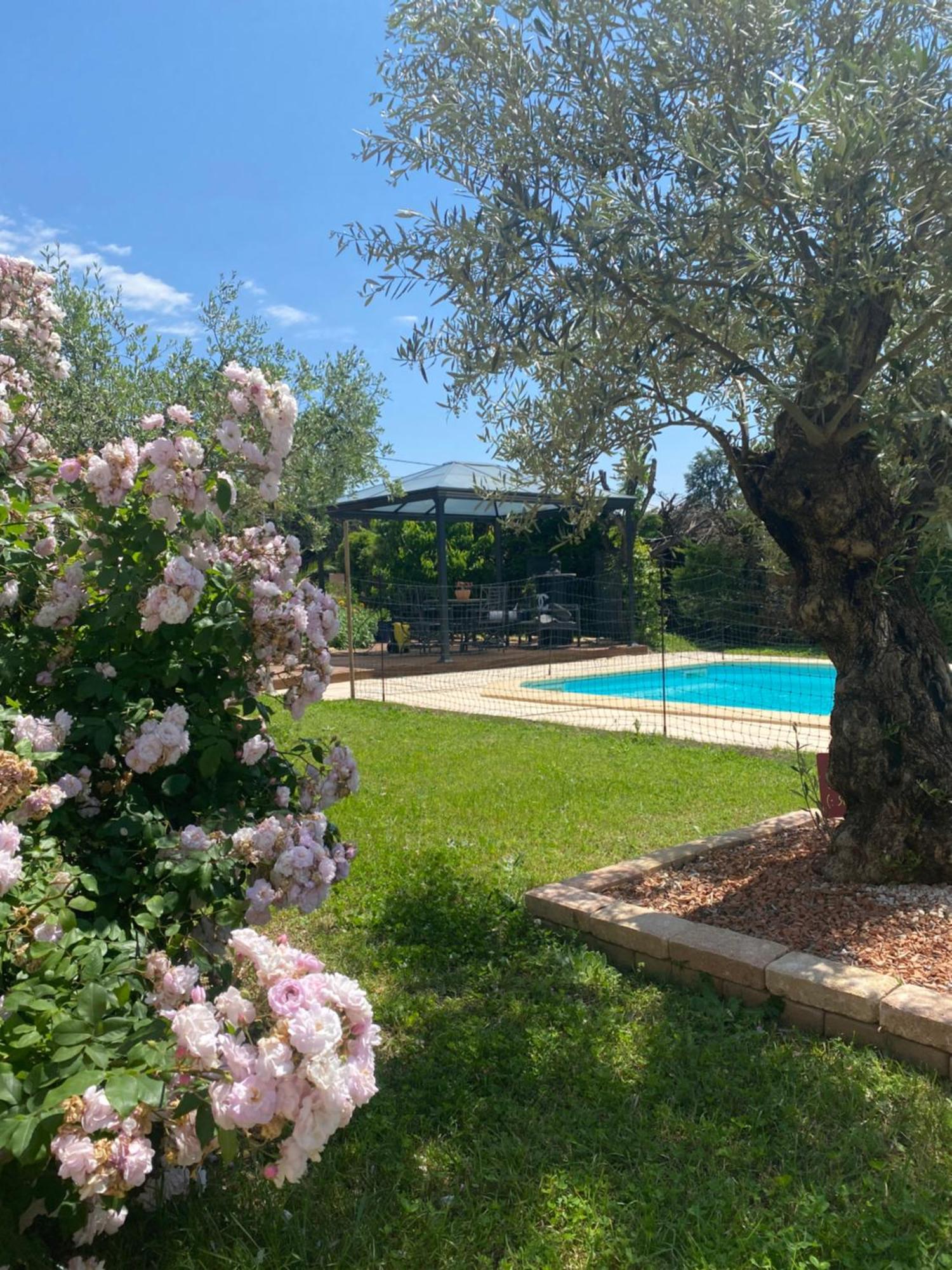 Chambre D'Hotes Vaucluse Bollène Εξωτερικό φωτογραφία